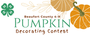 Cover photo for Beaufort County 4-H Pumpkin Decorating Contest