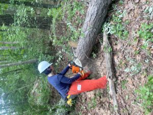 Cover photo for Chainsaw Safety After Hurricane Helene