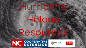 Hurricane Helene Resources written in red with a hurricane photo in the background