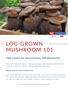 Cover photo for Grow your Own Shiitake Mushrooms on Logs!