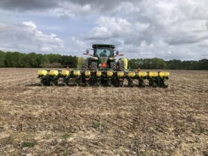 corn being planted