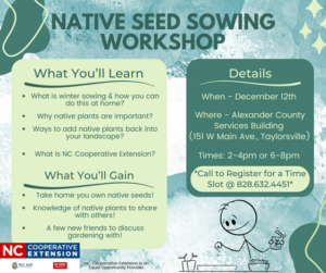 seed sewing workshop flyer