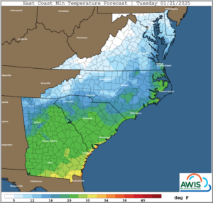 Cover photo for AWIS Weather Advisory: Polar Vortex Affects North Carolina