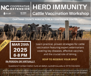 Cover photo for Cattle Vaccination Workshop